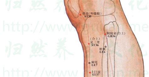 飛揚穴位置|醫砭 » 中華針灸 » 飛揚